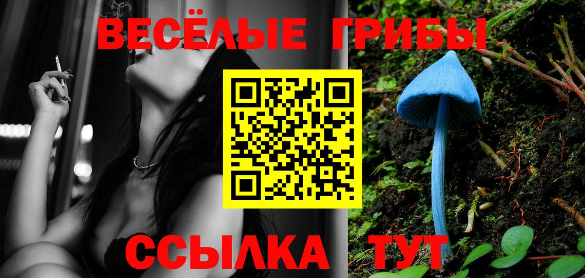Сызрань  Псилоцибиновые грибы Psilocybine cubensis  Вход с VPN 